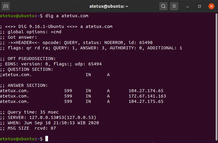 dig check dns record