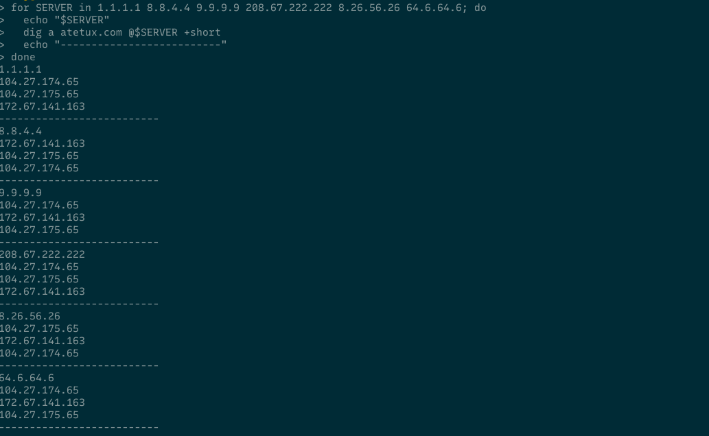 dns script output