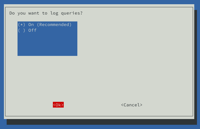 enable log query pihole