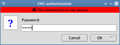 enter the vnc password