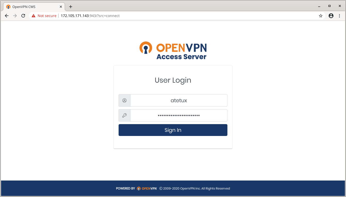 openvpn client download config